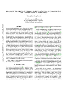 Exploring the Effects of Channel Sparsity on Neural Network Pruning for
  Acoustic Scene Classification