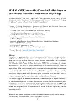SEMPAI: a Self-Enhancing Multi-Photon Artificial Intelligence for
  prior-informed assessment of muscle function and pathology