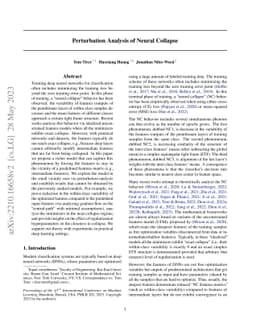 Perturbation Analysis of Neural Collapse