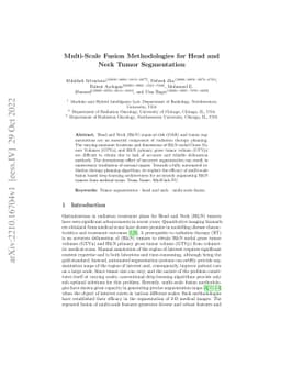 Multi-Scale Fusion Methodologies for Head and Neck Tumor Segmentation