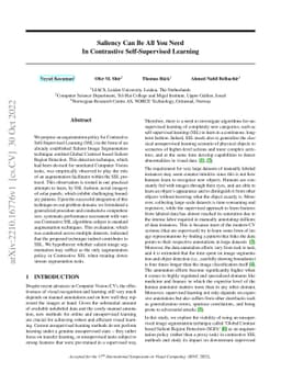 Saliency Can Be All You Need In Contrastive Self-Supervised Learning