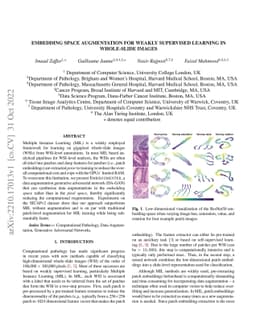Embedding Space Augmentation for Weakly Supervised Learning in
  Whole-Slide Images