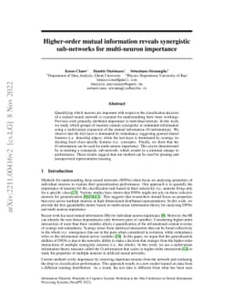 Higher-order mutual information reveals synergistic sub-networks for
  multi-neuron importance