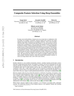 Composite Feature Selection using Deep Ensembles