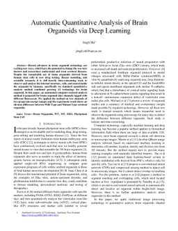 Automatic Quantitative Analysis of Brain Organoids via Deep Learning
