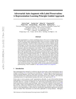 Adversarial Auto-Augment with Label Preservation: A Representation
  Learning Principle Guided Approach