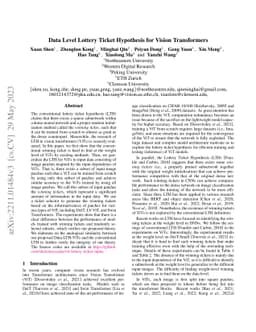Data Level Lottery Ticket Hypothesis for Vision Transformers