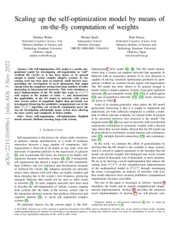 Scaling up the self-optimization model by means of on-the-fly
  computation of weights
