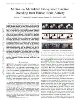 Multi-view Multi-label Fine-grained Emotion Decoding from Human Brain
  Activity