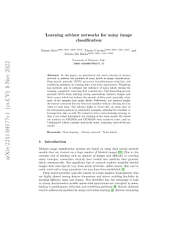 Learning advisor networks for noisy image classification