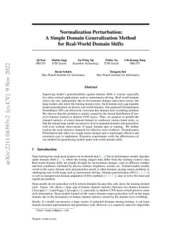 Normalization Perturbation: A Simple Domain Generalization Method for
  Real-World Domain Shifts