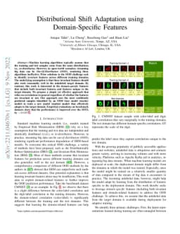 Distributional Shift Adaptation using Domain-Specific Features