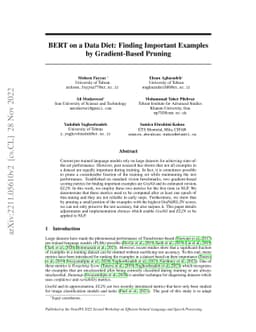BERT on a Data Diet: Finding Important Examples by Gradient-Based
  Pruning