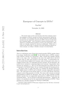 Emergence of Concepts in DNNs?