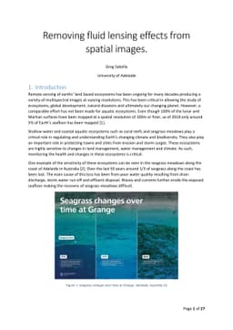 Removing fluid lensing effects from spatial images