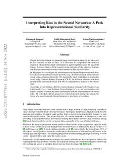 Interpreting Bias in the Neural Networks: A Peek Into Representational
  Similarity