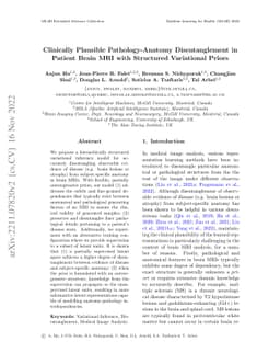 Clinically Plausible Pathology-Anatomy Disentanglement in Patient Brain
  MRI with Structured Variational Priors