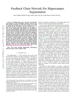 Feedback Chain Network For Hippocampus Segmentation