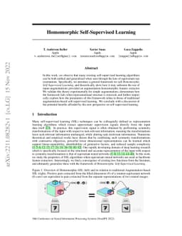 Homomorphic Self-Supervised Learning