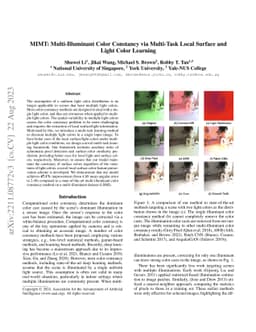 MIMT: Multi-Illuminant Color Constancy via Multi-Task Local Surface and
  Light Color Learning