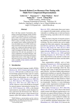 Towards Robust Low-Resource Fine-Tuning with Multi-View Compressed
  Representations
