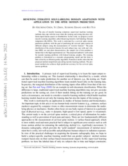 Renewing Iterative Self-labeling Domain Adaptation with Application to
  the Spine Motion Prediction