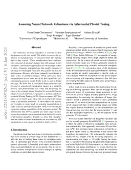 Assessing Neural Network Robustness via Adversarial Pivotal Tuning