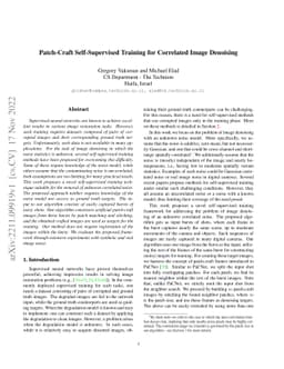 Patch-Craft Self-Supervised Training for Correlated Image Denoising