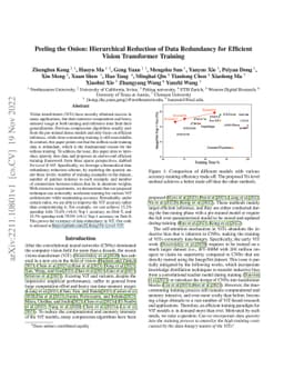 Peeling the Onion: Hierarchical Reduction of Data Redundancy for
  Efficient Vision Transformer Training
