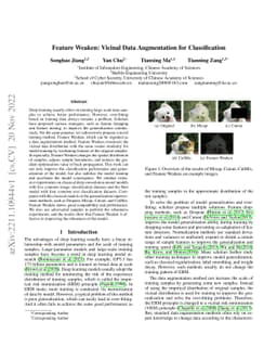 Feature Weaken: Vicinal Data Augmentation for Classification