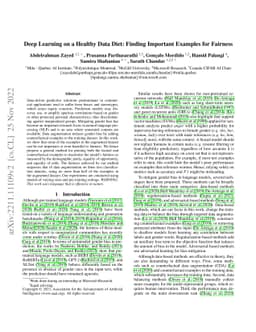 Deep Learning on a Healthy Data Diet: Finding Important Examples for
  Fairness