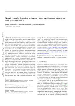 Novel transfer learning schemes based on Siamese networks and synthetic
  data