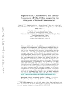 Segmentation, Classification, and Quality Assessment of UW-OCTA Images
  for the Diagnosis of Diabetic Retinopathy