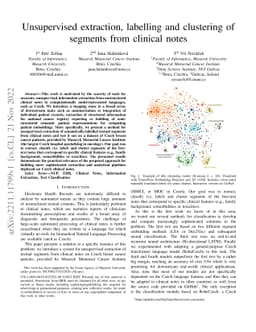 Unsupervised extraction, labelling and clustering of segments from
  clinical notes