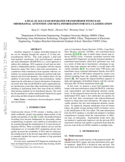 A Dual-scale Lead-seperated Transformer With Lead-orthogonal Attention
  And Meta-information For Ecg Classification