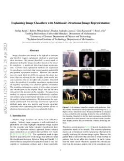 Explaining Image Classifiers with Multiscale Directional Image
  Representation