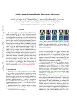 μSplit: efficient image decomposition for microscopy data