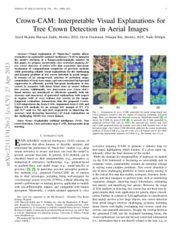 Crown-CAM: Interpretable Visual Explanations for Tree Crown Detection in
  Aerial Images