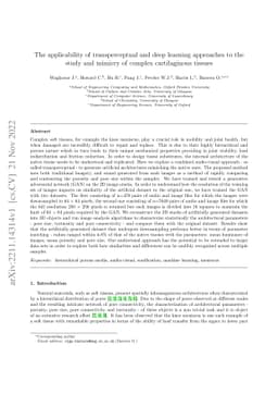 The applicability of transperceptual and deep learning approaches to the
  study and mimicry of complex cartilaginous tissues