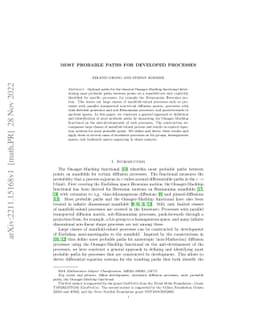 Most probable paths for developed processes