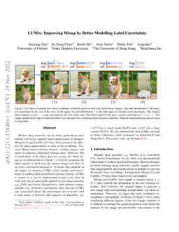 LUMix: Improving Mixup by Better Modelling Label Uncertainty
