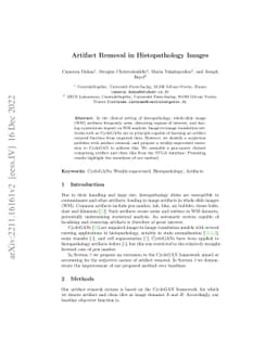 Artifact Removal in Histopathology Images