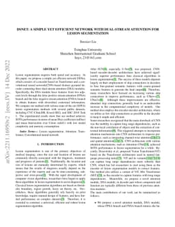 DSNet: a simple yet efficient network with dual-stream attention for
  lesion segmentation