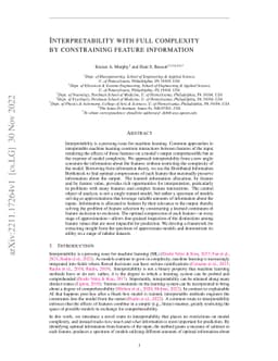 Interpretability with full complexity by constraining feature
  information