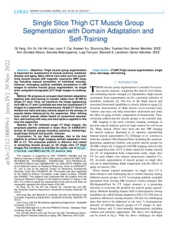 Single Slice Thigh CT Muscle Group Segmentation with Domain Adaptation
  and Self-Training