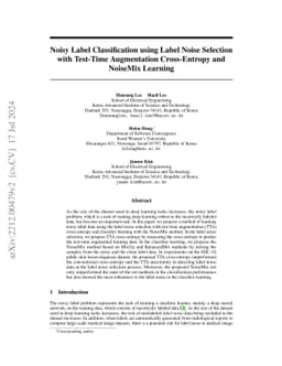 Noisy Label Classification using Label Noise Selection with Test-Time
  Augmentation Cross-Entropy and NoiseMix Learning