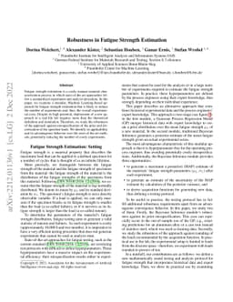 Robustness in Fatigue Strength Estimation