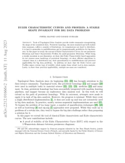 Euler Characteristic Curves and Profiles: a stable shape invariant for
  big data problems