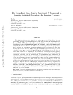 The Normalized Cross Density Functional: A Framework to Quantify
  Statistical Dependence for Random Processes