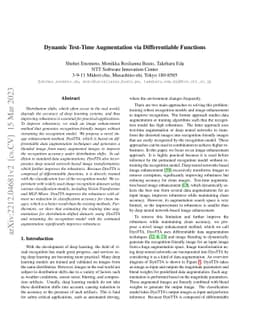 Dynamic Test-Time Augmentation via Differentiable Functions